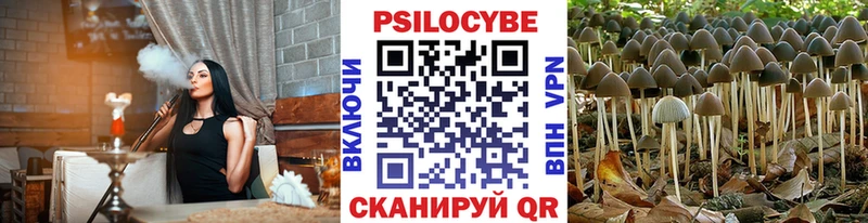 Псилоцибиновые грибы Psilocybe  Петровск 
